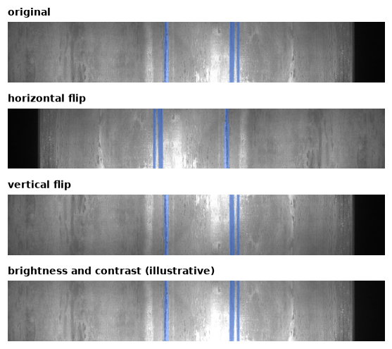 One image under original, horizontal flip, vertical flip, and brightness changes.