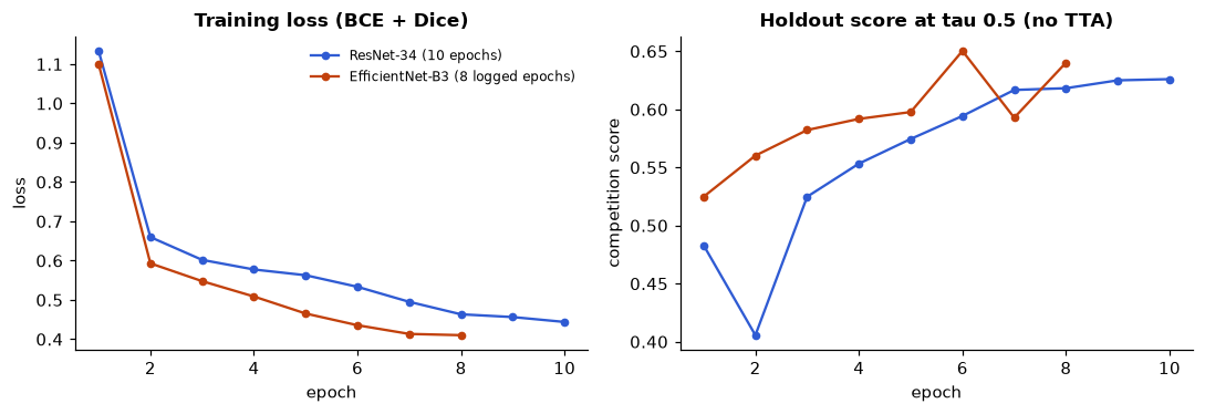 Training loss and holdout score for ResNet-34 and EfficientNet-B3.